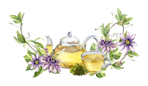 Composition of glass teapot and cup, passion flower, stem watercolor illustration. Herbal tea, health drink, leaves, flower hand drawn. Design for wrapping, menu, packaging, banner. png