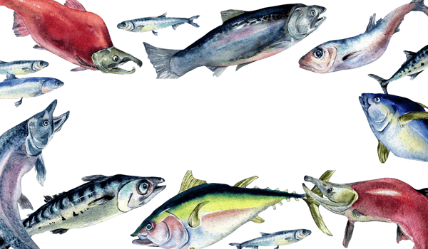Frame of various fresh sea fish watercolor illustration. Wild fish, tuna, salmon, herring, anchovy hand drawn. Design element for cookbook, signboard, menu, market, packaging. png