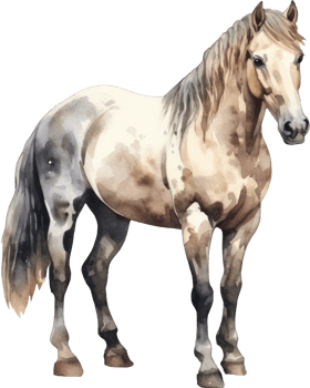 Horse Watercolor Illustration. png
