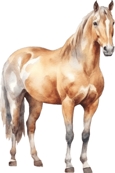 Horse Watercolor Illustration. png