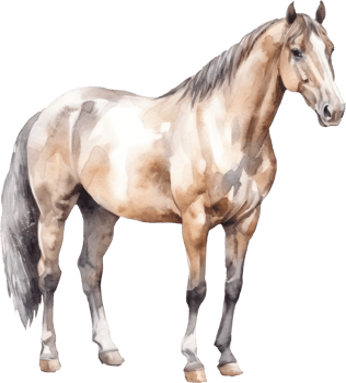 Horse Watercolor Illustration. png