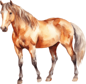 Horse Watercolor Illustration. png
