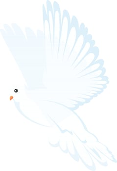 Beautiful illustration of flying dove bird. vector