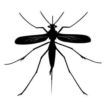 Mosquito silhouette isolated on white background. Icon Vector illustration