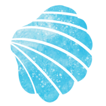 watercolor drawing shells png