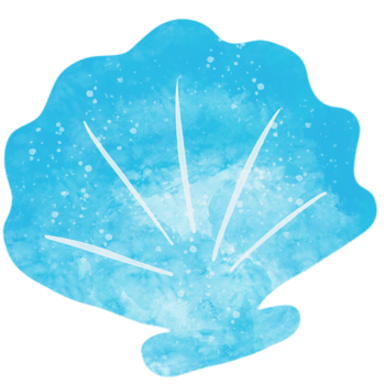 watercolor drawing shells png