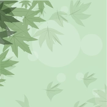 Abstract green maple leaves on background. vector