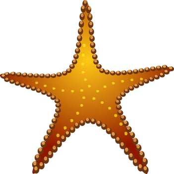 Decorative star element in brown color. vector