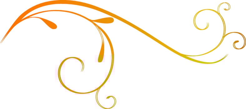 Illustration of floral design elements. vector