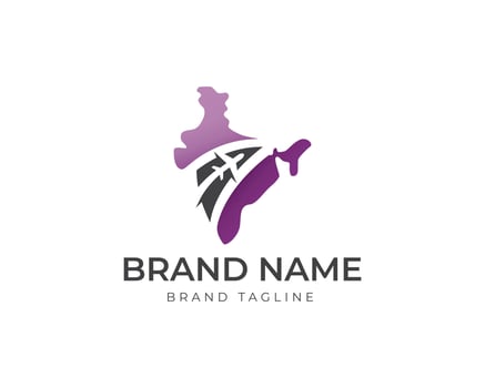 indian plane logo vector