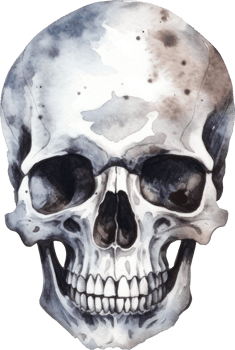 Skull Watercolor Illustration. png