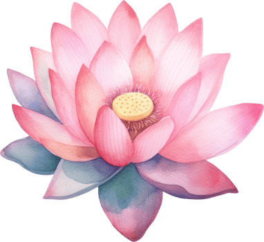 Lotus Flower Watercolor Illustration. png