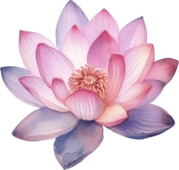 Lotus Flower Watercolor Illustration. png