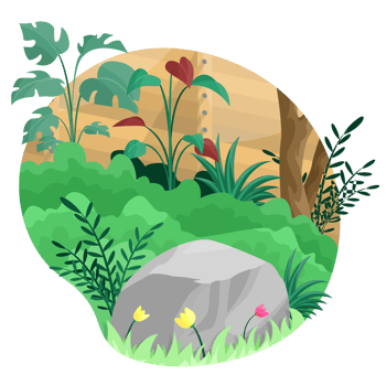 Forest Scenery Illustration png
