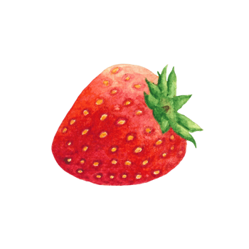 Beautiful watercolor illustration of strawberry fruit png