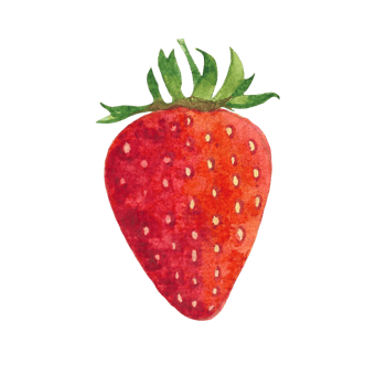 Beautiful watercolor illustration of strawberry fruit png