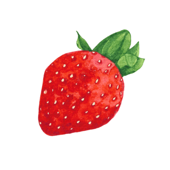 Beautiful watercolor illustration of strawberry fruit png