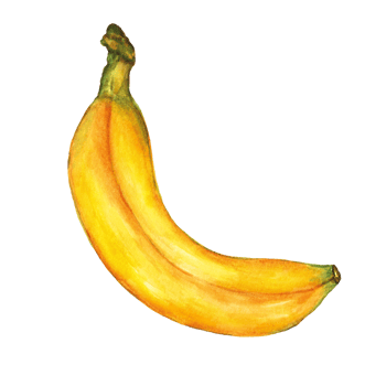 Watercolor painted banana, Hand drawn ripe banana png