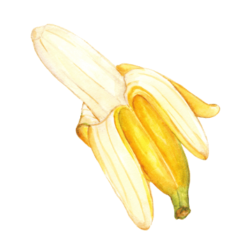 Watercolor painted banana, Hand drawn ripe banana png