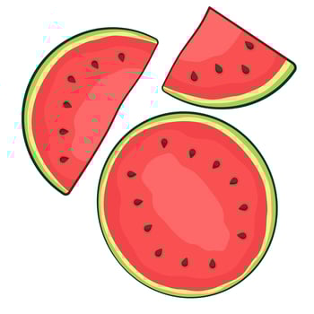 Watermelon. Set of icons vector