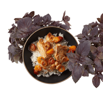 healthy breakfast set Cut out, isolated transparent background png