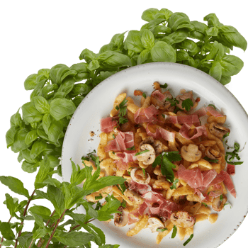 healthy breakfast set Cut out, isolated transparent background png