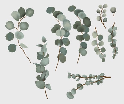 set of watercolor eucalyptus leaves wedding pack. vector
