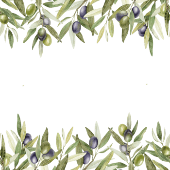 Olive branches, leaves and fruits. Seamless border of branches olive tree. Watercolor hand drawn illustration. For menu, packaging design, wedding invitation, save the date or greeting card. png
