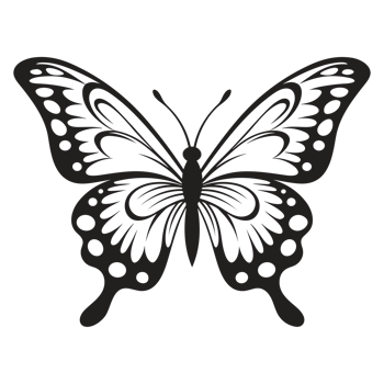 Beautiful Butterfly Silhouette - png