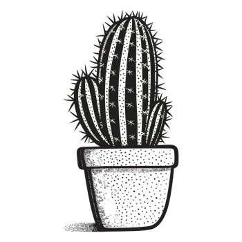 Beautiful Cactus - png