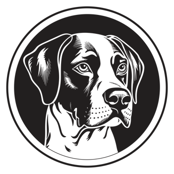 Beautiful Dog Face Silhouette - png