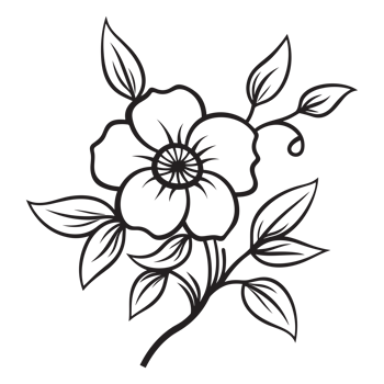 Beautiful Floral Silhouette - png