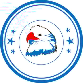 Flat illustration of an eagle in a circular frame. vector