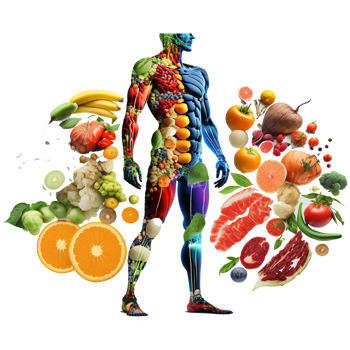 Fresh food in human body Nutrition for human png