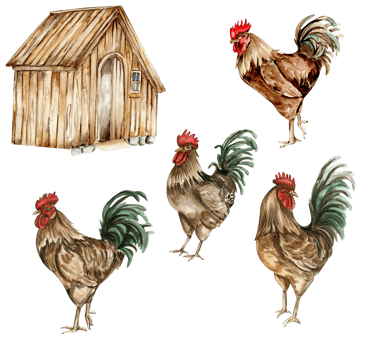 Watercolor wooden farmhouse and cock. Hand drawn illustration of a farm. png