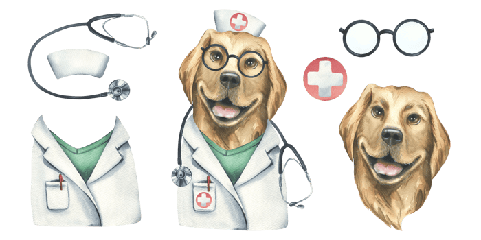 Portrait of a golden retriever dog in a doctor's costume. Watercolor illustration. An isolated object from the VETERINARY collection. For the design and design of advertising clinics, pharmacies. png
