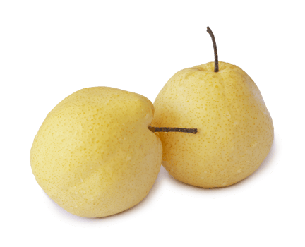 Two fresh yellow Chinese pears isolated with clipping path png