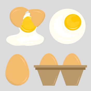 Raw and fried Eggs collection vector