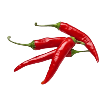Red chili peppers are isolated on transparent background. clipping path. png