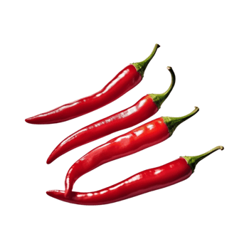 Red chili peppers are isolated on transparent background. clipping path. png