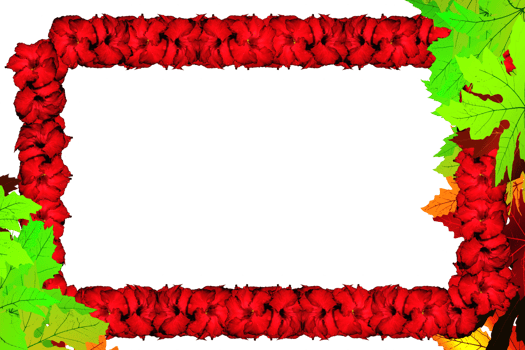 frame decoration with flower png