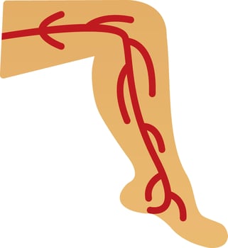 Veins Vector Icon Design