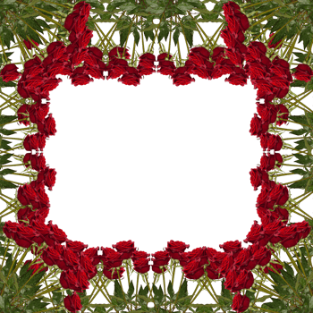 frame decoration with flower png