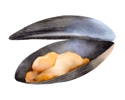 Mussels Seafood Watercolor png