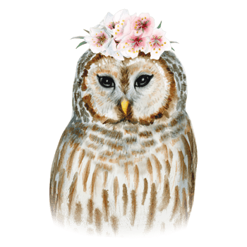 Barred striped owl bird portrait with pink flowers wreath watercolor illustration. Hand drawn forest owl clipart in brown and gray colors png