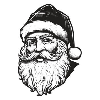 Beautiful Santa Face - png