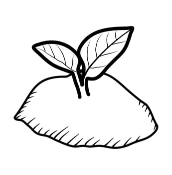 new plant tree botanical environment line art vector illustration