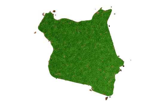 Kenya country Grass and ground texture map 3d illustration png