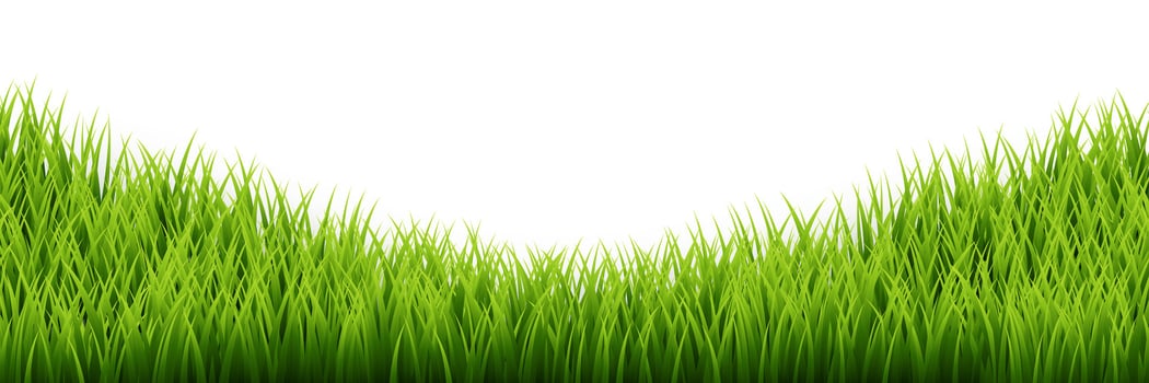 Green grass border set on white background. Vector Illustration