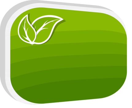 Green sticker, tag or label with leaves. vector